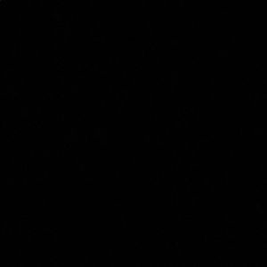 Meet your Posher, Noah